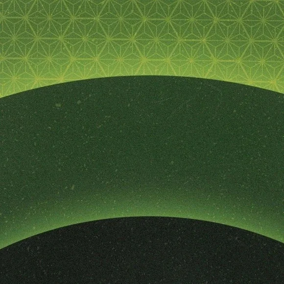 Franklin Sports Lunar Paddle Pickleball Racquet, Polypropylene Core - Picture 5 of 6